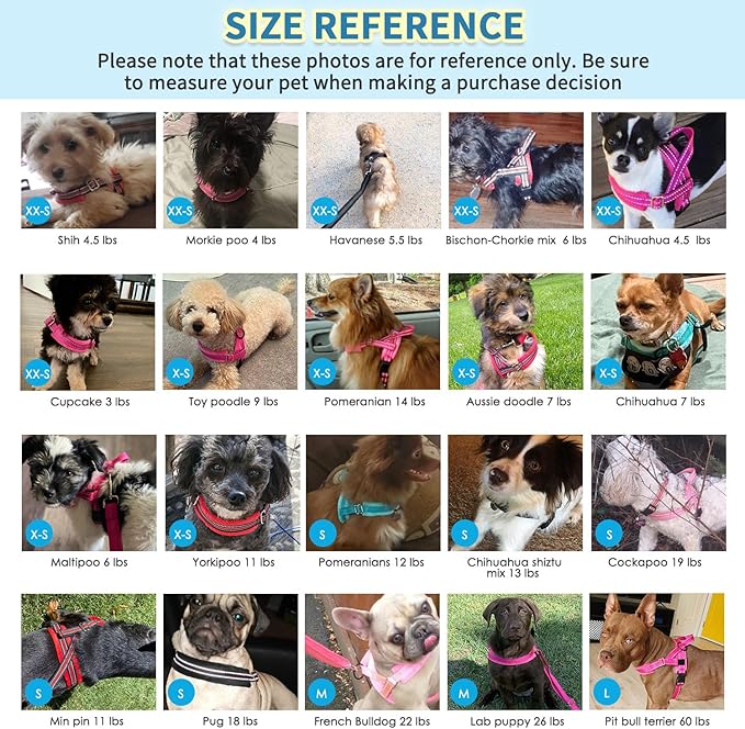 SlowTon No Pull Small Dog Harness and Leash Set, Puppy Soft Vest Harness Neck & Chest Adjustable, Reflective Lightweight Harness & Anti-Twist Pet Lead Combo for Small Medium Dogs (R-Front Clip,XS)