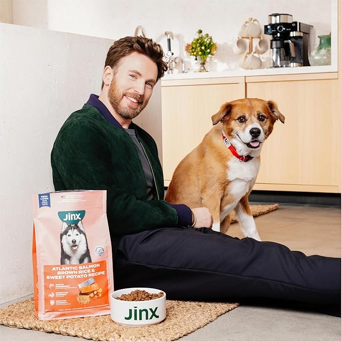 Jinx Premium Dry Dog Food, for All Life-Stages - Real Salmon, Brown Rice & Sweet Potato Kibble with Superfoods for Immune Support & Probiotics for Digestive Support - No Fillers – 4lb (Pack of 2)