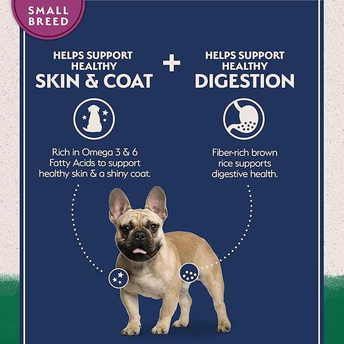 Natural Balance Limited Ingredient Small-Breed Adult Dry Dog Food with Healthy Grains, Lamb & Brown Rice Recipe, 12 Pound (Pack of 1)