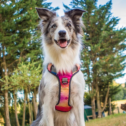 Embark Adventure Dog Harness for Large Dogs – No Pull, Reflective Trim, Military Grade Nylon, Front Clip, Gel-Lined Handle, Soft Padded