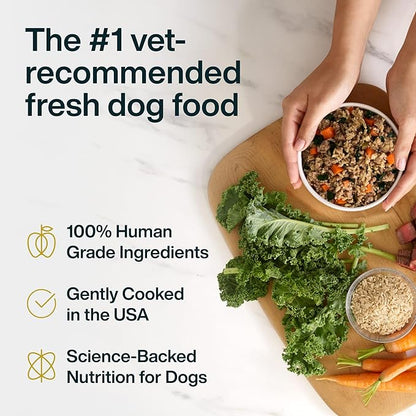 JustFoodForDogs JustFresh Wet Dog Food, Fresh Pet Meals and Toppers with No Preservatives, Resealable Package, Human Grade, Home-Cooked Beef & Chicken, 12 oz - 8 Pack