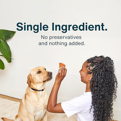 JustFoodForDogs Single Ingredient Healthy Dog Treats and Dog Snacks, Jerky Treats, Human Grade, Preservative and Grain Free, Rawhide Free Chews, Low Calorie Treat - Chicken Breast, 2.5 oz Pack of 4
