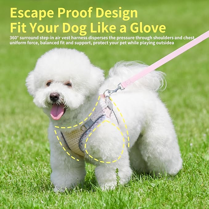 Summer Dog Harness and Leash Set, Soft Dog Vest Harness with Super Breathable Diamond Mesh, Reflective No-Pull Pet Harness for Outdoor Walking, Training for Small Dogs, Cats Pearl Pink XXS