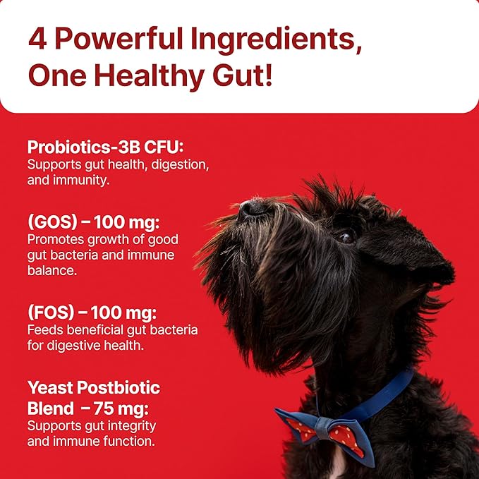 TPC Probiotics for Dogs, 90 Soft Chews – Dog Probiotics with Digestive Enzymes & Prebiotics – Supports Gut Health, Diarrhea & Bowel Support, Seasonal Allergies – Pet Supplement