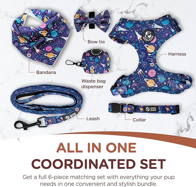 No Pull Harness and Leash Set - 6-in-1 Adjustable Vest Harness and Collars for Medium and Large Dogs. (Cosmic, Extra Small)