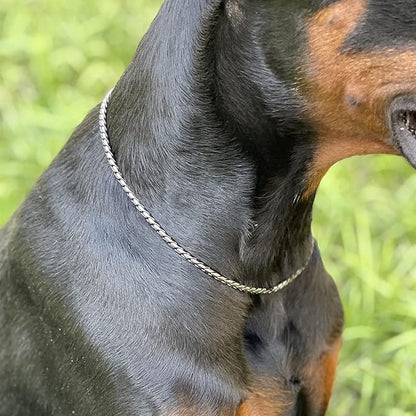 Dog P Snake Chain Chrome Plated Metal Dog Training Choke/Collar-Fully Guaranteed Against Rust Tarnish or Breakage-Recommended for Professional Training (Sliver, 4mm * 24")