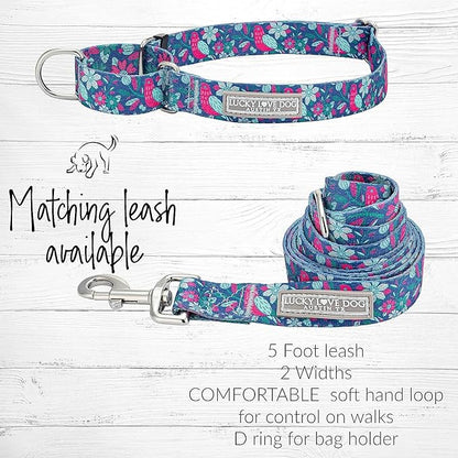 Lucky Love Dog - Easy Click Buckle Dog Collar with Leash Set Combo, Durable & Comfortable for Male & Female Dogs, Pet Collar for Large Dogs, Secure Fit - Carriebelle Martingale Combo, Large