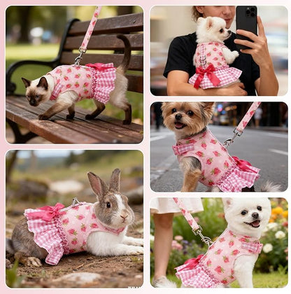 EXPAWLORER Dog Harness Small Medium Sized Dogs, Plaid Dog Dress Bowknot Harness and Leash Set, No Choke No Pull Soft Mesh Vest Cute Princess Puppy Outfits Clothes Costume for Girls Party Cats Pink XS
