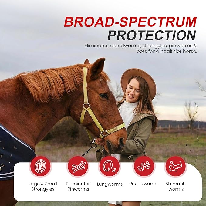 Ivermectin Horse Paste 1.87% Dewormer 6.08g Dose-Effective Appled Flavored Ivermectin Paste for Equine Care,Horse Deworming Paste -for Horses Up to 1250 lb (1 Pack)