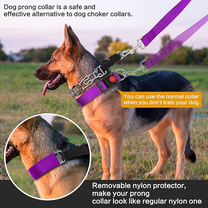 Generic Dog Prong Training Collar with Nylon Cover Comfort Tips and Quick Release Snap Buckle, Dog Classic Collar and Dog Leash for Small, Medium, Large Dogs