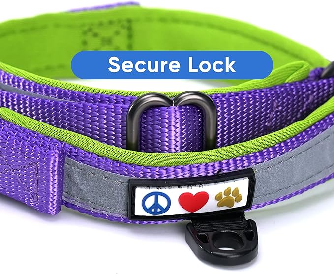 Pawtitas Lumberjack Padded Martingale Collar for Dogs | Soft Neoprene Dog Collar for Your pet's Comfort Made with Reflective Band for Maximum Visibility | Fits Small and Large Pets - Large Purple
