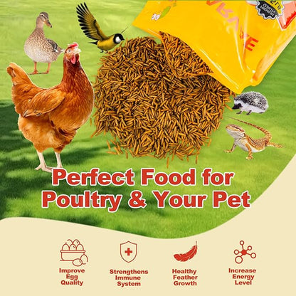 5.5LB Dried Black Soldier Fly Larvae, 85X More Calcium Chicken Feed Than Mealworms, 100% Natural Non-GMO BSF, Treat for Chickens, Ducks, Laying Hens, Birds