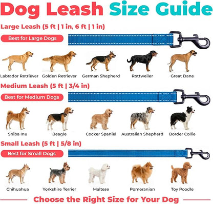 Best Pet Supplies Voyager Reflective Dog Leash or Collar with Neoprene Handle, for Small, Medium, and Large Breed Puppies, Cute and Heavy Duty for Walking, Running and Training - Royal Blue (Leash), M