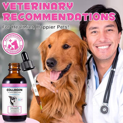 Collagen for Dogs, Dog Collagen Liquid Drops with Biotin, MSM & Ginger Digestive & Immunity Support, Itch Relief, Skin & Coat and Joint Health, Dog Supplement 60ml-2pcs