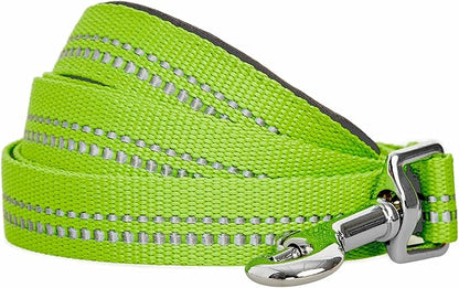Blueberry Pet 3M Reflective Pastel Color Dog Leash with Soft & Comfortable Handle, 5 ft x 3/4", Green Flash, Medium, Leashes for Dogs