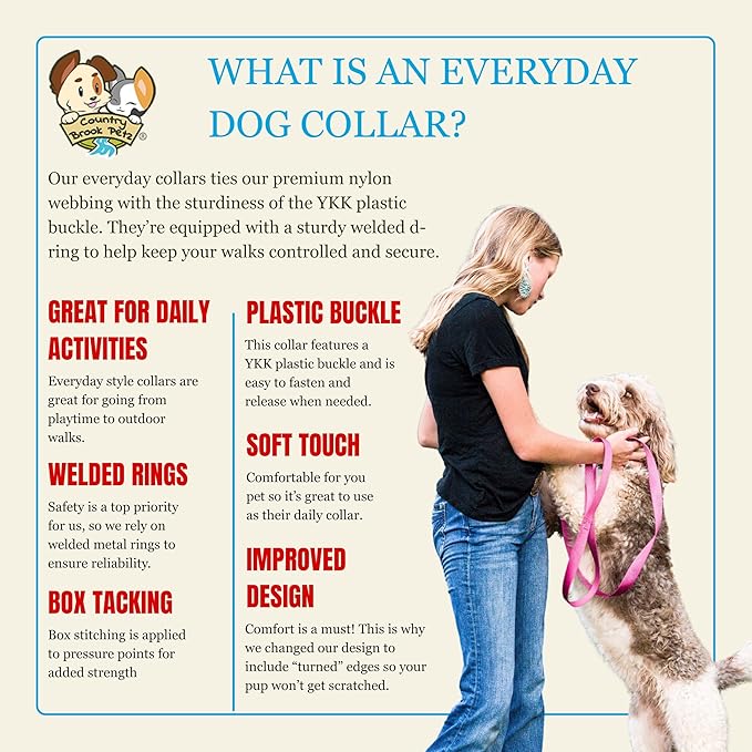 Country Brook Petz - Everyday Nylon Dog Collar for Large, Medium, and Small Dogs and Puppies - for Everyday Use in 10+ Warm Colors (Small, 3/4 Inch Wide, Rose)