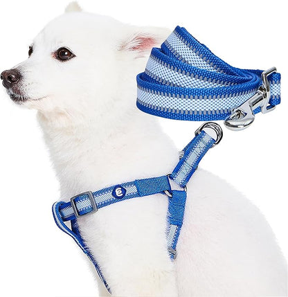 Blueberry Pet Essentials Reflective Back to Basics Matching Dog Harness and Leash Set, Navy Blue, Adjustable Harness with 5 ft Leash for Small Dogs