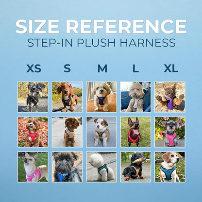 Best Pet Supplies - All Weather Plush, Reflective, No Pull Harness for Small, Medium Dogs, Cats - Secure with Hook & Loop Fastener, Buckle, Double D-Rings - Royal Blue Faux Leather, XS