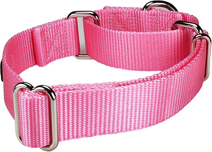 Mikivery Martingale Dog Collar Nylon Adjustable and Safety Training Colourful Comfortable Metal Buckle Pet Collars for Small Medium and Large Dogs(BabyPink,L)