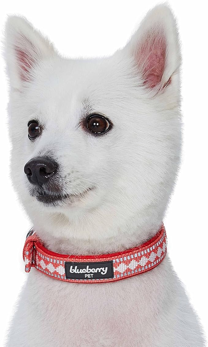 Blueberry Pet Reflective Jacquard Dog Collar with Neoprene Padding & Metal Buckle | Soft & Adjustable Safety Collar - Coral, Neck 13-16.5", for Medium Breed