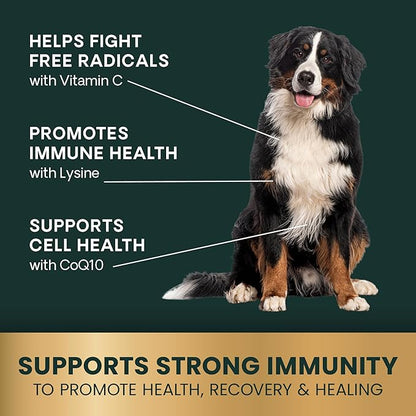 VetriScience Immunity Health Easy-Open Capsules, Immune Plus Supplement for Medium and Large Breed Dogs, Cell Advance Immune and Allergy Support with Antioxidants, Hypoallergenic Formula, 120 Count
