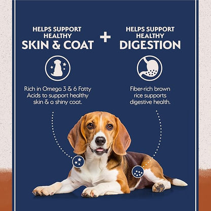 Natural Balance Limited Ingredient Adult Dry Dog Food with Healthy Grains, Reserve Duck & Brown Rice Recipe, 12 Pound (Pack of 1)
