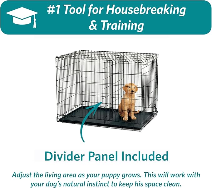 MidWest Homes for Pets 48-Inch iCrate for Extra-Large Breeds, 90-110 lbs, Double Door Folding Dog Crate with Divider Panel, Leak-Proof Tray & Secure Latches, Portable, Durable & Easy to Assemble