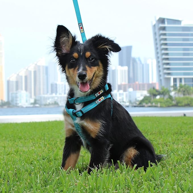 Pawtitas Recycled Reflective Step-in Dog Harness – Adjustable No-Pull Vest for Puppies to Seniors Safe & Comfortable XS Black