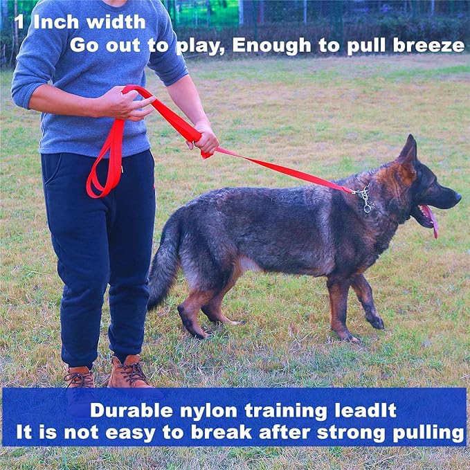 Strong Durable 15ft Nylon Dog Training Leash, 1 Inch Wide Traction Rope, for Small and Medium Dog (Pink, 15 Feet)