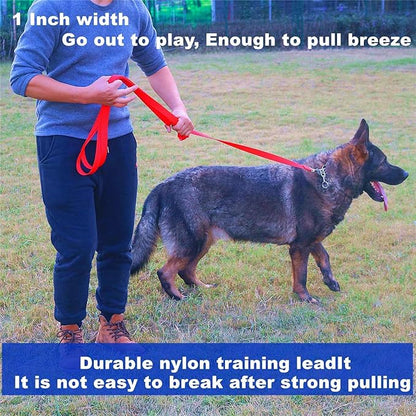 Strong Durable Nylon Dog Training Leash, 1 Inch Wide Traction Rope, 6 ft 10ft 15ft Long, for Small and Medium Dog (Military Green, 15 Feet)