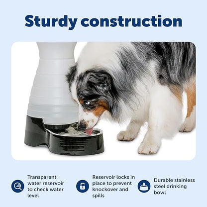 PetSafe Healthy Pet Water Station - Large, 320 oz Capacity - Gravity Pet Water Fountain, Automatic Cat Water Fountain or Dog Water Fountain - Water Dispenser - Removable Stainless Steel Bowl Included