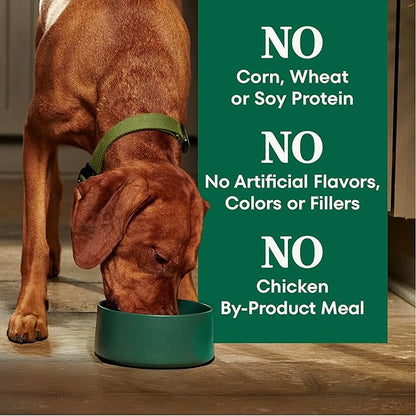 Nutro Natural Choice Senior Dog Food Dry Recipe, Chicken and Brown Rice Recipe, Dry Dog Food, 30 lb. Bag