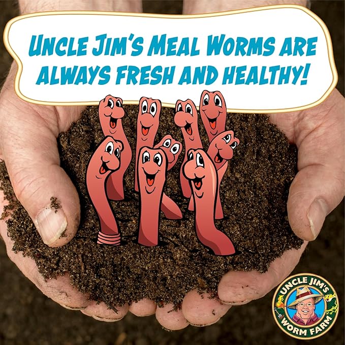 Uncle Jim's Worm Farm 2000 Count Mealworms for Reptiles and Chickens | Mealworms for Feeding Lizard, Gecko, Bearded Dragons, Chickens, Birds, and More | Suitable for Fishing Bait