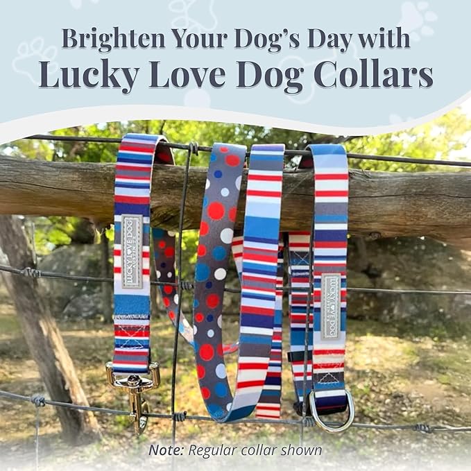 Lucky Love Dog Martingale Dog Collar - Adjustable, No-Slip, Durable, & Soft Webbing Collar for Male and Female Dogs Ideal for Training & Walking - Linus, Small