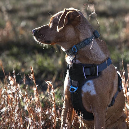 Embark Adventure Dog Harness for Small, Medium & Large Dogs – No Pull, Reflective Trim, Military Grade Nylon, 2 Leash Clips, Gel-Lined Handle, Soft Padded