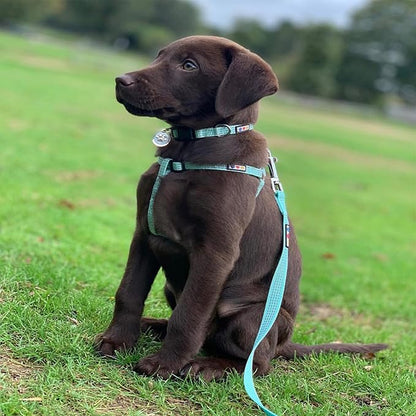 Pawtitas Reflective Step-in Dog Harness – Adjustable No-Pull Vest for Puppies to Seniors, Safe & Comfortable, XS Camo Grey