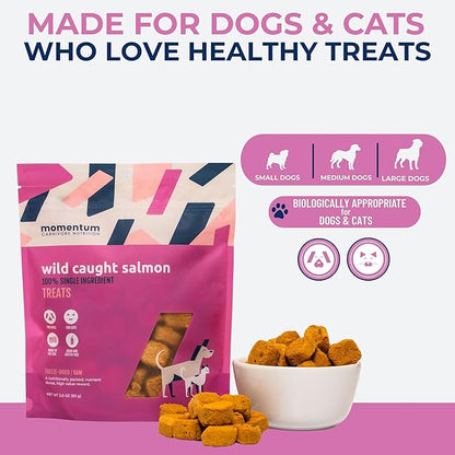Momentum Carnivore Nutrition Freeze-Dried Wild-Caught Salmon Dog Treats & Cat Treats – Single-Ingredient, High-Protein, Grain-Free, Natural Source of Omega-3s – Made in USA – 3 oz Bag