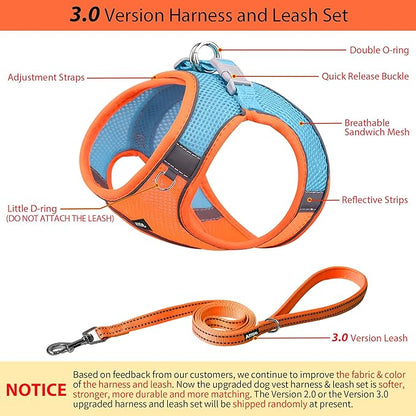 AIITLE Small Harness for Puppy with A Leash - Dog Vest Harness with Super Breathable Mesh, Reflective No-Pull Pet Harness for Outdoor Walking, Running for Small Dogs, Cats Orange XXS
