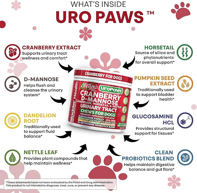 Dog UTI Treatment | Cranberry for Dogs | Urinary Tract Bladder Control | D-Mannose Dandelion Glucosamine HCL Marshmallow Nettle Leaf Saw Palmetto Uva Ursi Horsetail Beef Flavor by Clean Nutra Pets