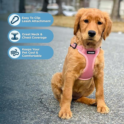 Best Pet Supplies Voyager Adjustable Step-in Flex Breathable Mesh Dog Harness for Small Medium Large Dogs Leash Set (Pink), S