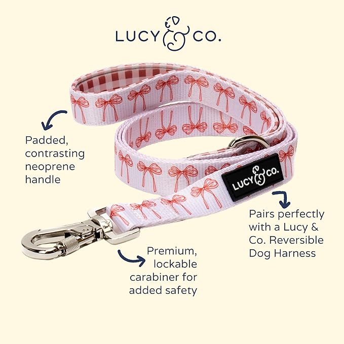 Lucy & Co. Designer Dog Leash - Pet Accessories - Thick Dog Leash - Padded Handle for Comfort - Ballet Bows - 5 Foot (White & Pink Bows, Large)