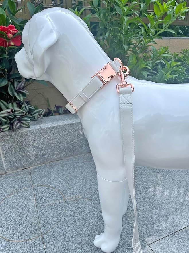 Dog Collar and Leash Set.Soft and Easy to Clean Vegan Leather with Rose Gold Metal Buckle for Small Medium Large Dogs (Off-White, M(13.8"-19.7"))