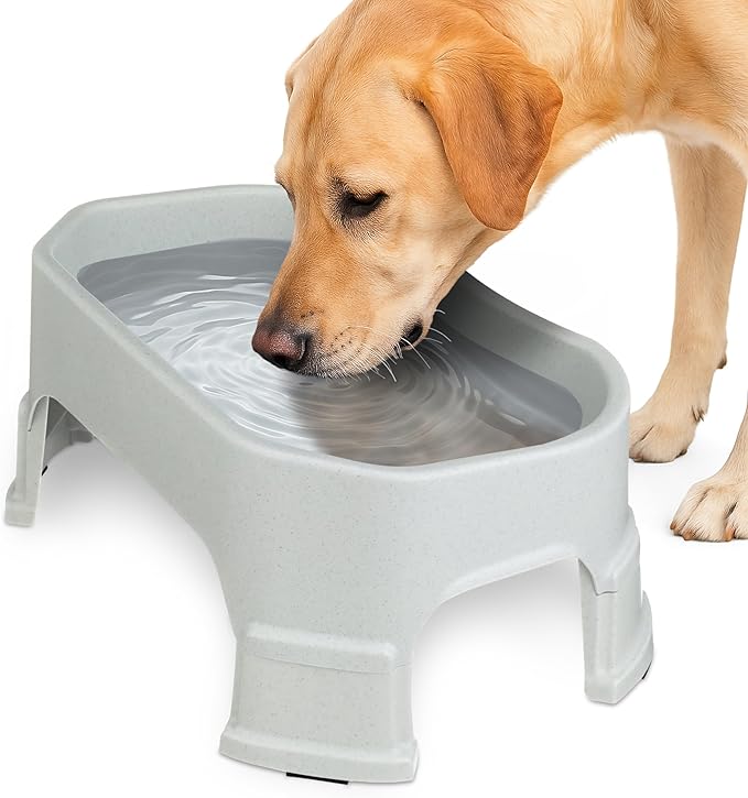 Neater Pet Brands Extra Large Water Bowl for Dogs, Elevated Outdoor Dog Water Bowl (1.25 Gallon XL Capacity), Big Trough Style Food Dish for Indoors or Outside, No Spill Large Dog Bowls, Vanilla Bean