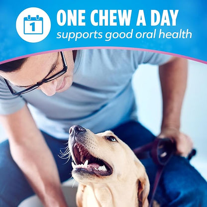Dentalife Plus Digestive Support Dog Treats for Large Dogs 40 lbs. and up, Cleans Teeth, Freshens Breath, & Supports Healthy Gut, Chicken & Pumpkin Flavor, 22.6 oz., 19 Chews - 19 ct. Pouch
