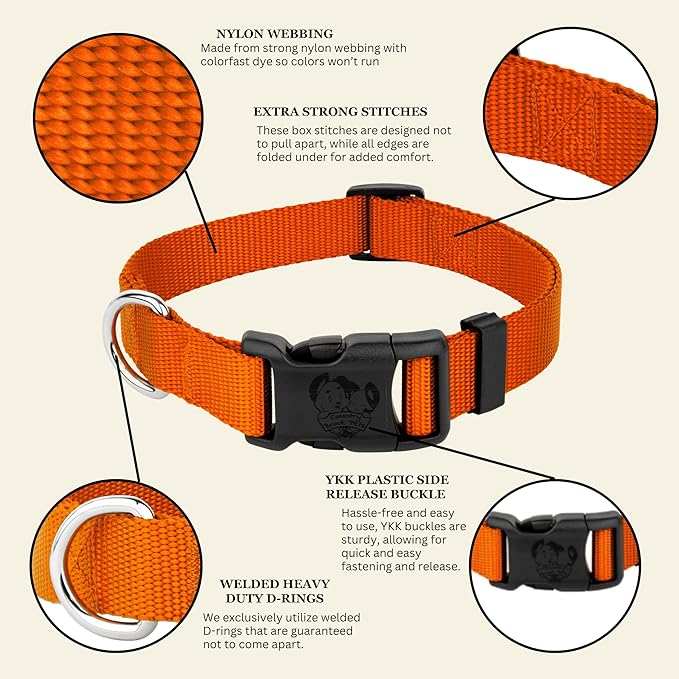 Country Brook Petz - Everyday Nylon Dog Collar for Large, Medium, and Small Dogs and Puppies - for Everyday Use in 10+ Warm Colors (Large, 1 Inch Wide, Orange)