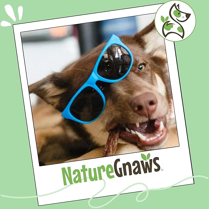 Nature Gnaws Beef Gullet Sticks for Dogs 5-6" (1Lb) - Natural Beef Jerky Stick Dog Chew Treats - Rawhide Free