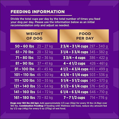 Wellness CORE+ Large Breed Adult Dry Dog Food with Freeze Dried Pieces, Wholesome Grain Kibble+, Natural, High Protein, Chicken and Turkey Recipe, 20 lb Bag