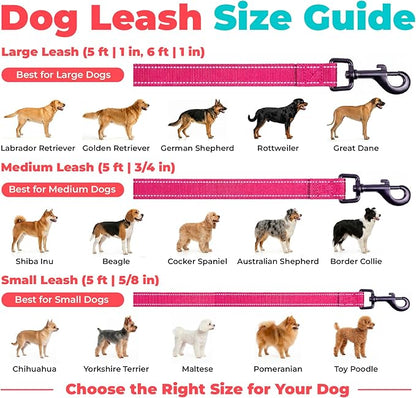 Best Pet Supplies Voyager Reflective Dog Leash or Collar with Neoprene Handle, for Small, Medium, and Large Breed Puppies, Cute and Heavy Duty for Walking, Running and Training - Fuchsia (Leash), S