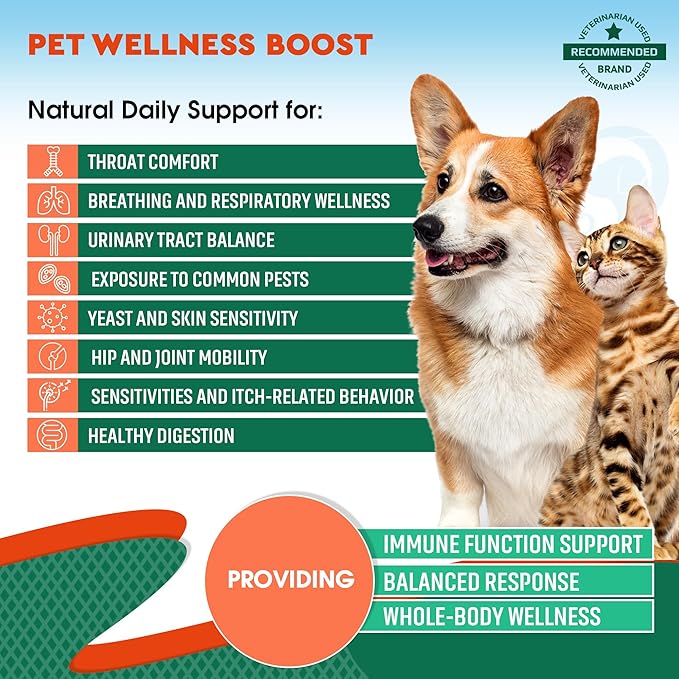 Dog & Cat Natural Antibiotic - Urinary Tract & Cough Relief Supplement - Itch Comfort Support - Herbal Treatment for UTI, Allergies, Digestive Discomfort