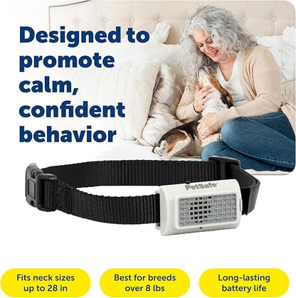 PetSafe Ultrasonic Bark Control Collar - Gentle No Shock Bark Training - Lightweight Comfortable Design - Water Resistant Dog Collar - Humane
